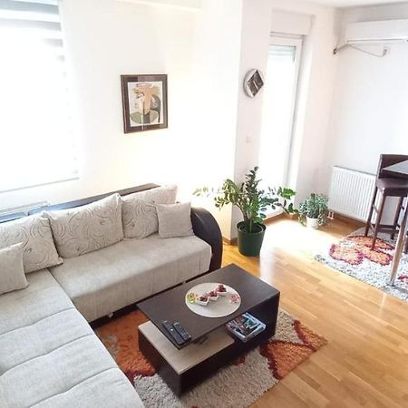 Beautifull Apartment Ниш Экстерьер фото