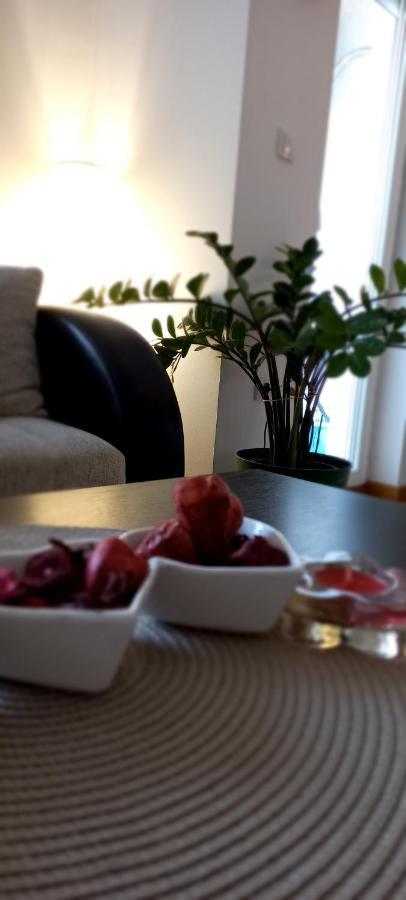 Beautifull Apartment Ниш Экстерьер фото