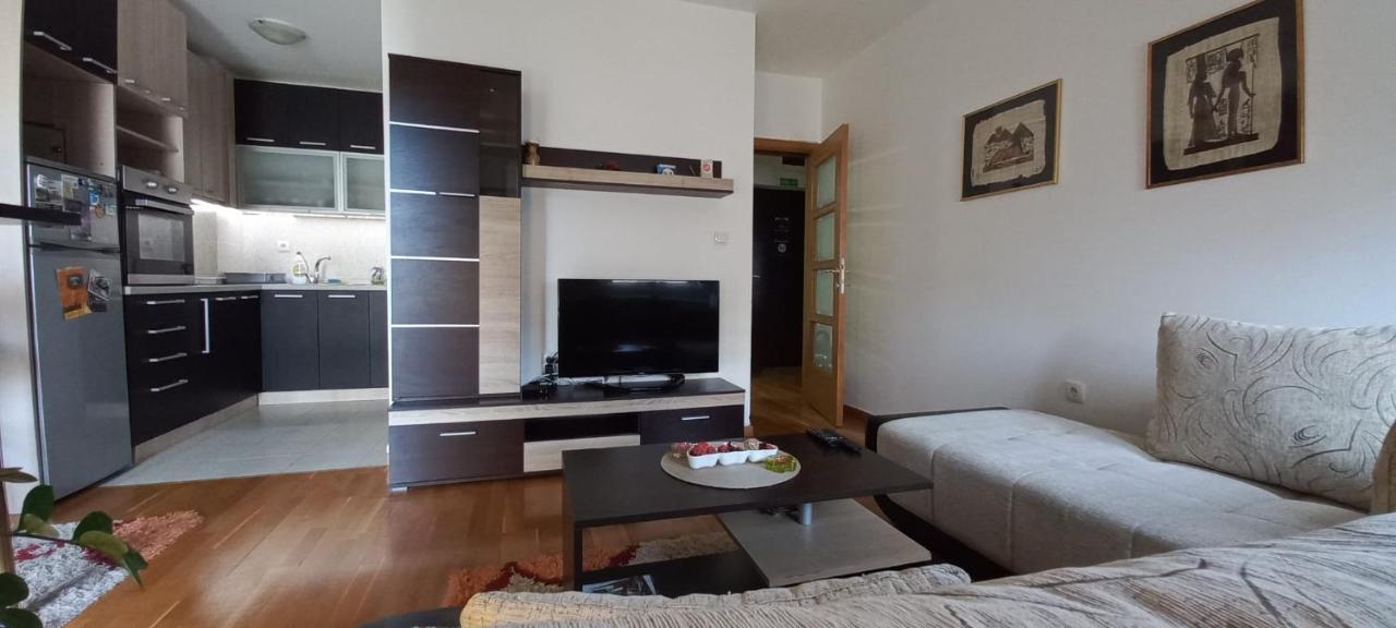 Beautifull Apartment Ниш Экстерьер фото
